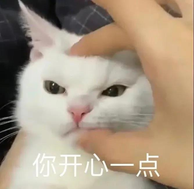 请查收今日份无水印沙雕表情包