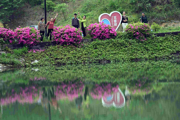 重庆铁山坪森林公园美景如画|铁山坪森林公园|美景|重庆_新浪新闻