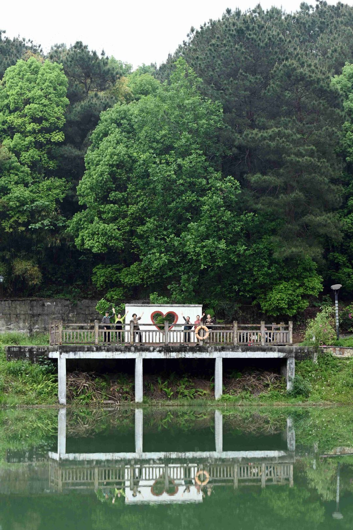 重庆铁山坪森林公园美景如画|铁山坪森林公园|美景|重庆_新浪新闻