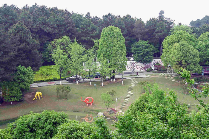 重庆铁山坪森林公园美景如画|铁山坪森林公园|美景|重庆_新浪新闻