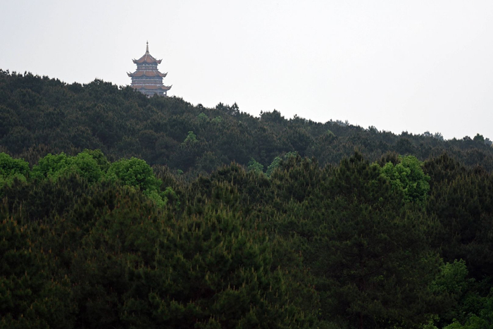 重庆铁山坪森林公园美景如画|铁山坪森林公园|美景|重庆_新浪新闻