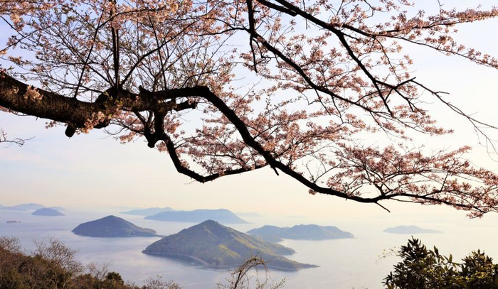 四国自由行推荐景点:紫云出山看樱花海,秋季挑战天空之路