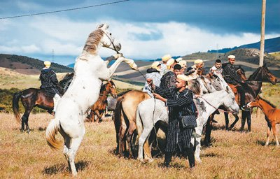 摩洛哥:策马奔腾(环球掠影)|摩洛哥|拉腊|比赛_新浪新闻