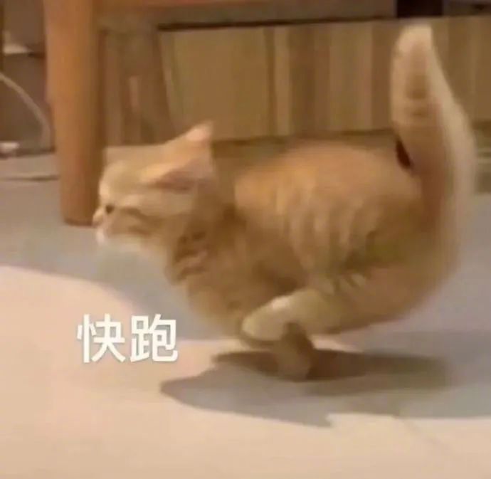 是你喜欢的表情包 拿图请顺便吱一声 很难有动力发图了
