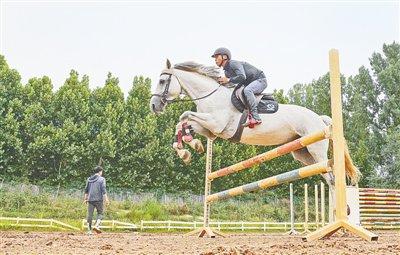 东方骑士马术俱乐部内,几十名青少年正在学习马术,虽然与专业选手相比