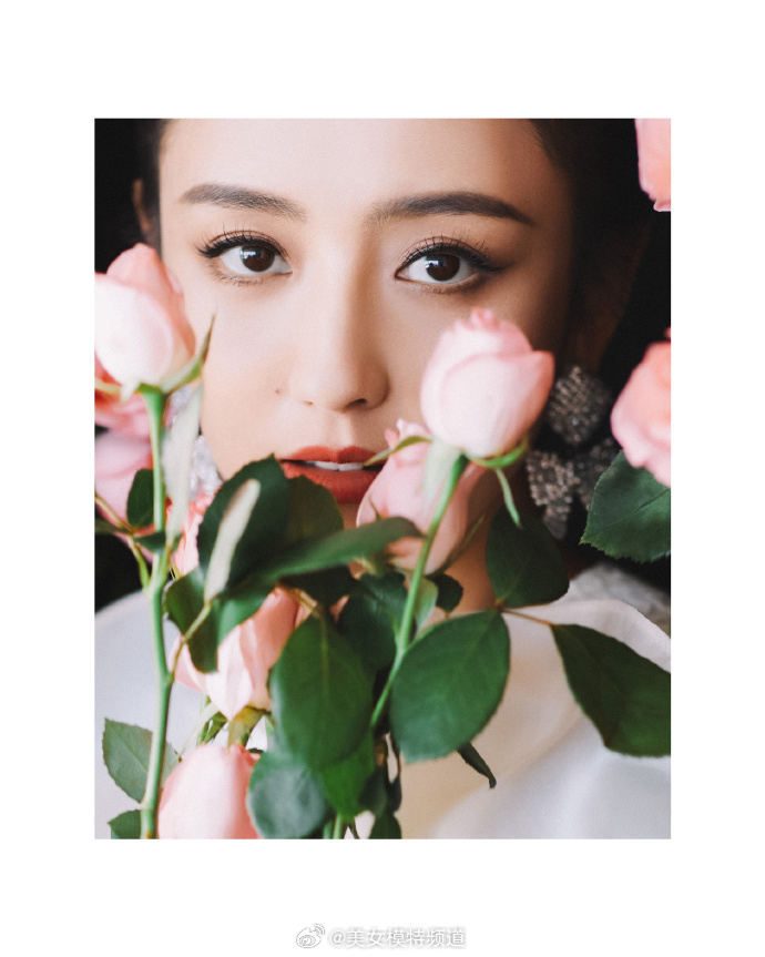 佟丽娅穿白裙置身玫瑰花海 迎着阳光抿嘴微笑优雅迷人