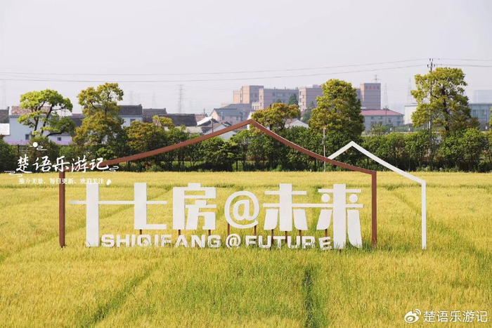 浙江宁波这个4a级景区恢复收费,周边风景线更美,鸢尾花海美如画