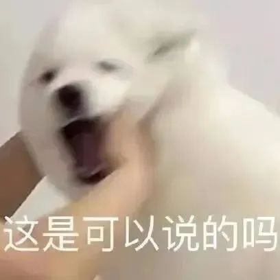 搞笑表情包拿图点赞