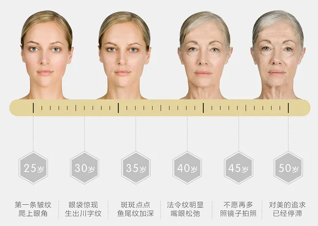 如何由内而外狙击衰老重组Ⅲ型人源化胶原蛋白多层次改善衰老问题