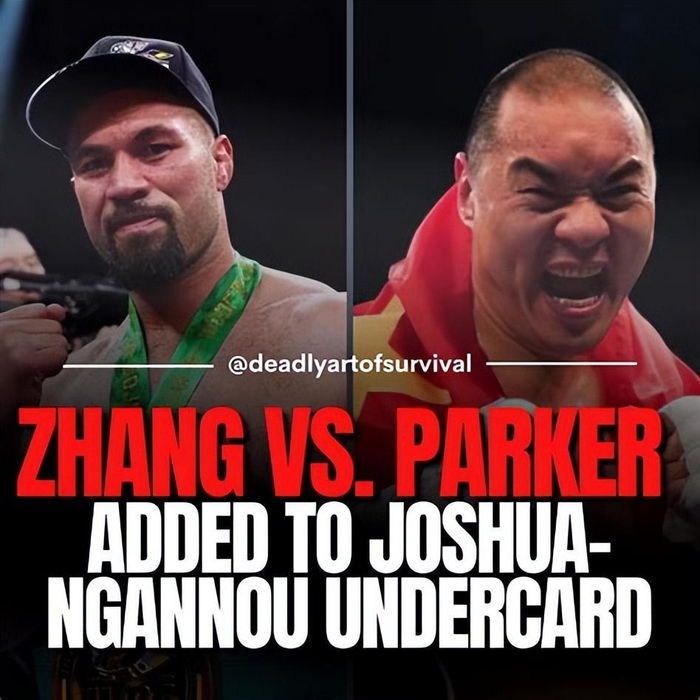 中国同胞竟看衰张志磊:帕克5回合摧毁张志磊|张志磊