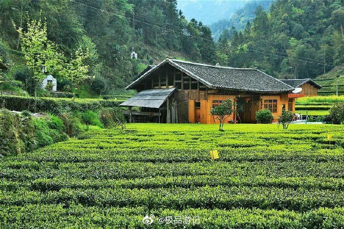 你所不知道的茶海，宛若世外桃源—荆楚第一羌寨的麻柳溪