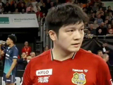3-1！乒乓球德国杯：樊振东逆转日本世界冠军，率先晋级男团决赛