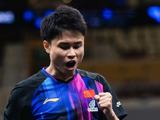 WTT多哈球星赛落幕！4位中国选手加冕，28岁名将勇夺国乒新年首冠