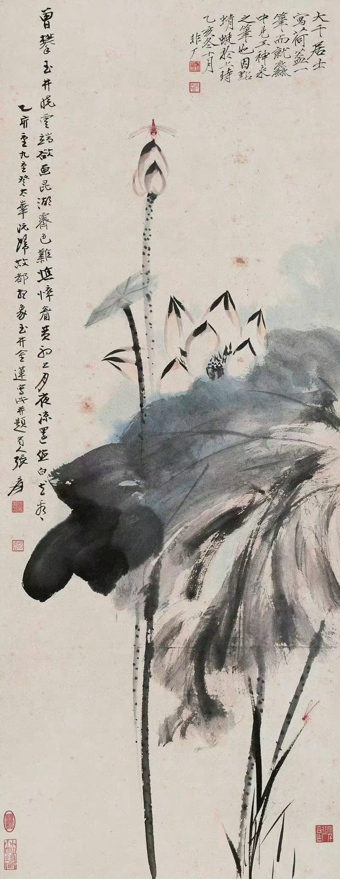 张大千的荷花,清丽雅逸,登峰造极!