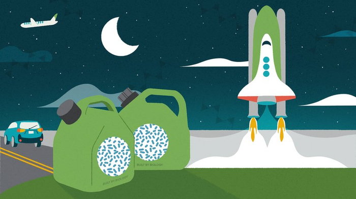 地球上的一些细菌或许可以进一步拓展人类边界