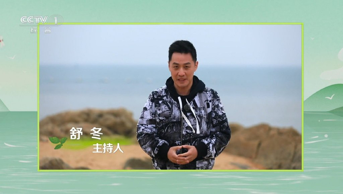 主持人大赛4年高开低走的王嘉宁在央视终于有了档出彩的节目