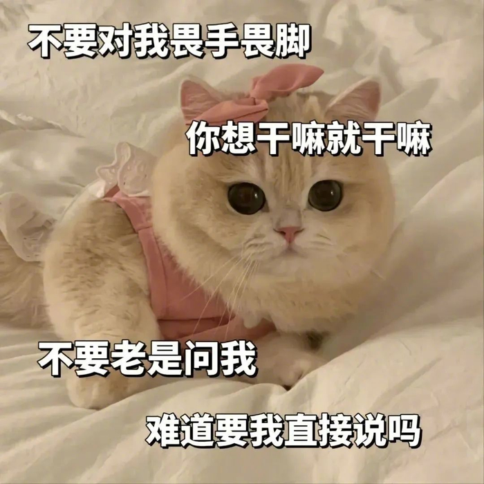 可爱动态表情包:就让人家我摸一下嘛
