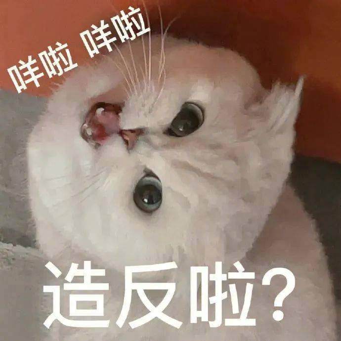精选表情包心碎了你开心了拿图点赞吱声