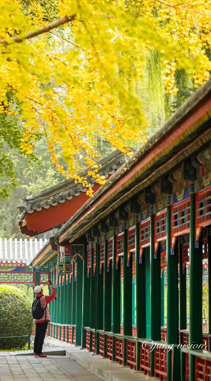 金秋北京,古建秋色