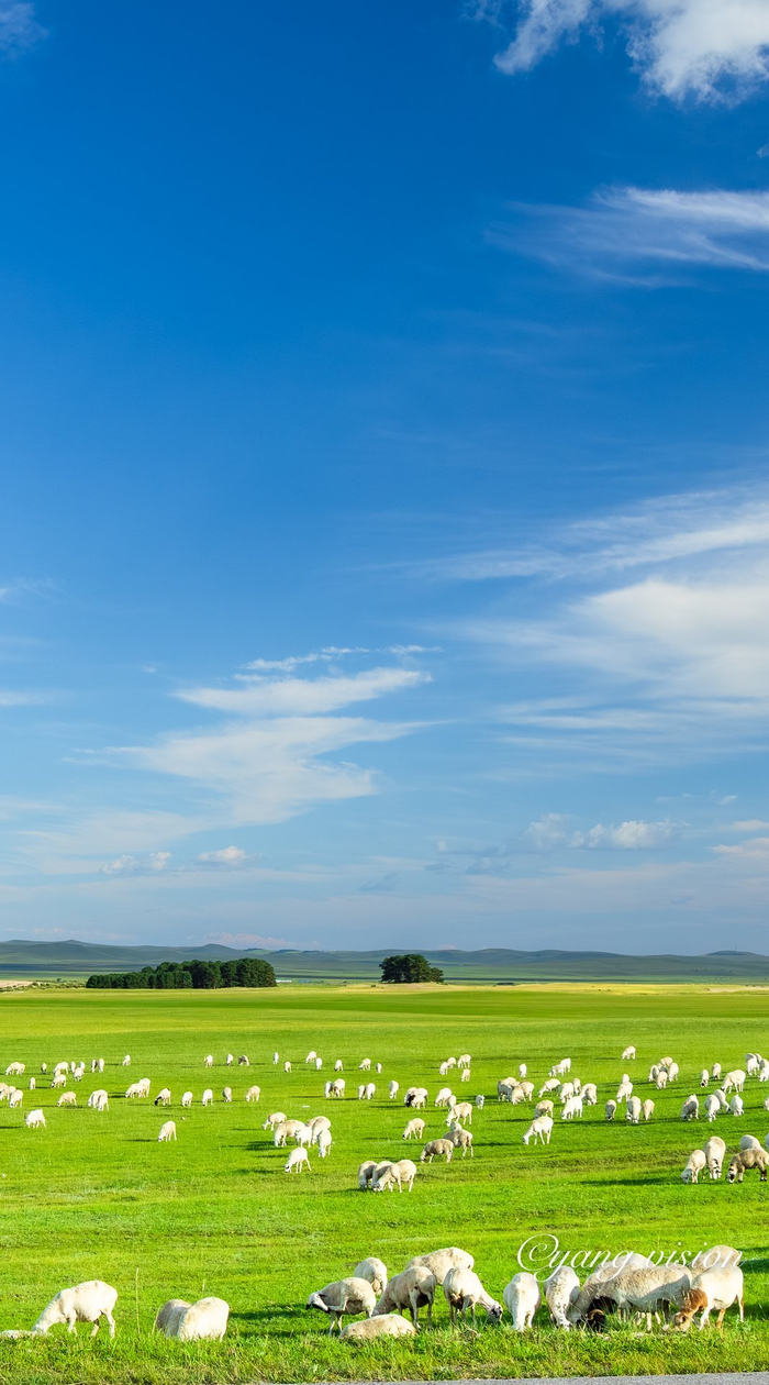 呼伦贝尔陈旗,蓝天白云草甸草原