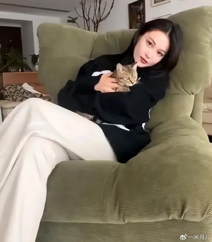 何捷|张馨予|二胎_新浪新闻