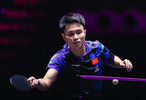 张本智和0-3惨败！国乒29岁名将太争气：周启豪横扫世界第三进8强