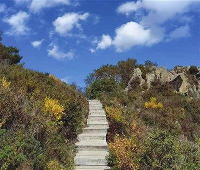 初冬爬山（图）