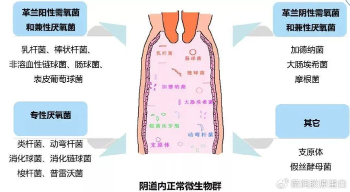 这种情况很多人都遇到过,通常是陈旧性出血流到内裤上形成的景象,对于