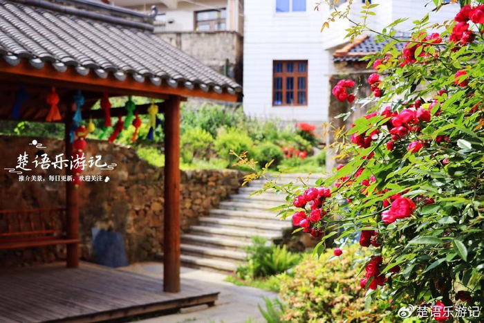 薛上岙村地处强蛟镇东南面的黄墩港畔,海边有数里沙岸和万顷砂碕,故古