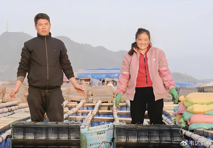 14年前感动中国的"春运妈妈",如今已找到,怀中孩子却已离世|周科|春运