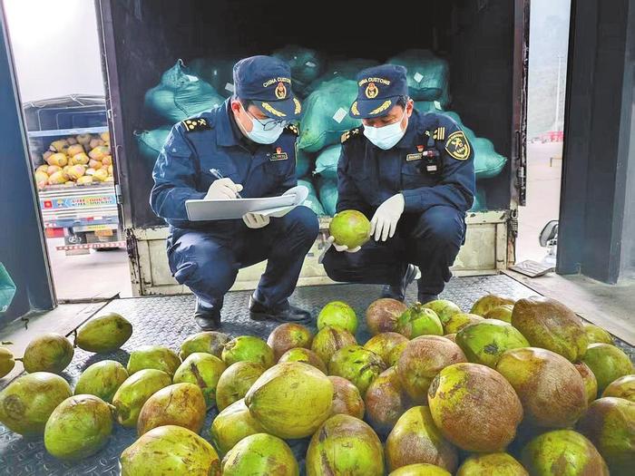 海关和经济的简单介绍 海关和经济的简单

先容
（海关经济类型） 海关