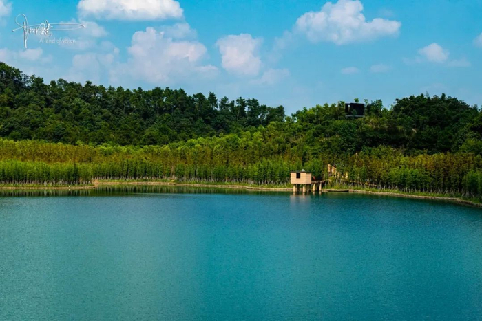 到上虞探访凤凰山考古遗址公园，必然会经过这泓碧水，美如油画