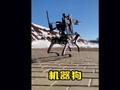 未来战场的武装机器狗，你觉得到底有没有实力？