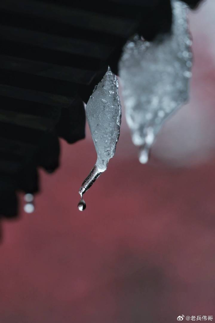 甲辰龙年新春那城那雨那梅