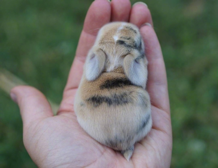 早安~__财经头条