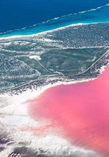 澳大利亚希勒湖 粉色海洋