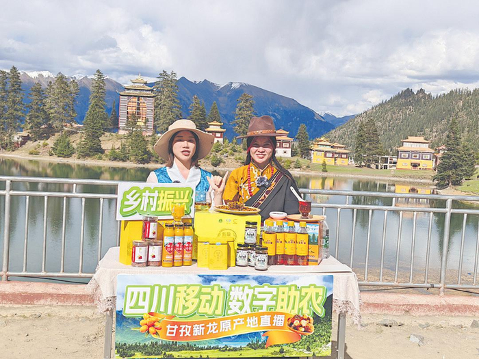 行业大事：白云区qt场2025年白云区qt场发展现状与区域分布解析