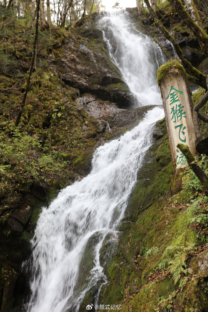 游湖北神农架国家公园神农顶风景区金猴岭观光拍摄.