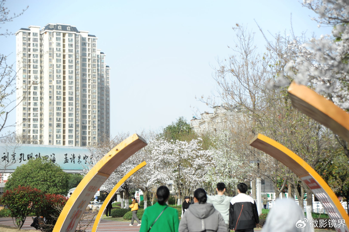 湖北襄阳:游紫贞文化走廊,看白色樱花灿烂|走廊|文化|樊城区_新浪新闻