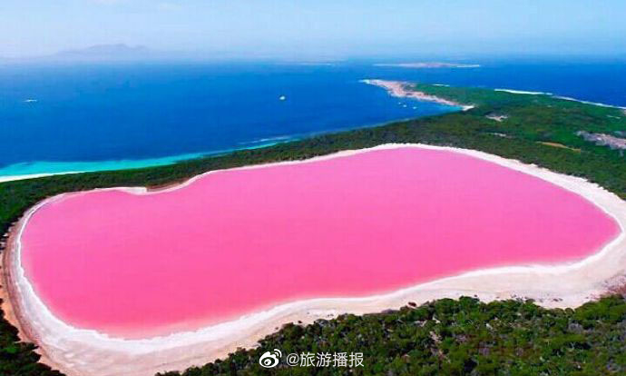 澳大利亚希勒湖粉色海洋