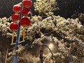 转发！北京马年第一场雪