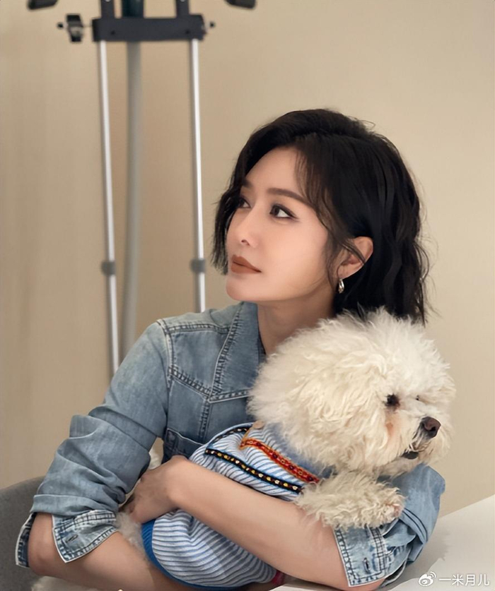 像《风云》,《倾城之恋》,《深宅》,《黑三角》,《完美丈夫》,《延禧