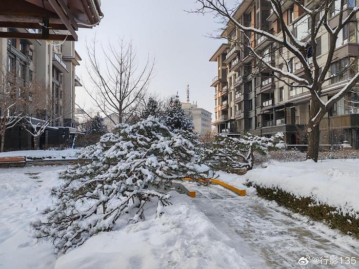 瑞雪兆丰年,在一场下了一整天的大雪中,迎来了2024年