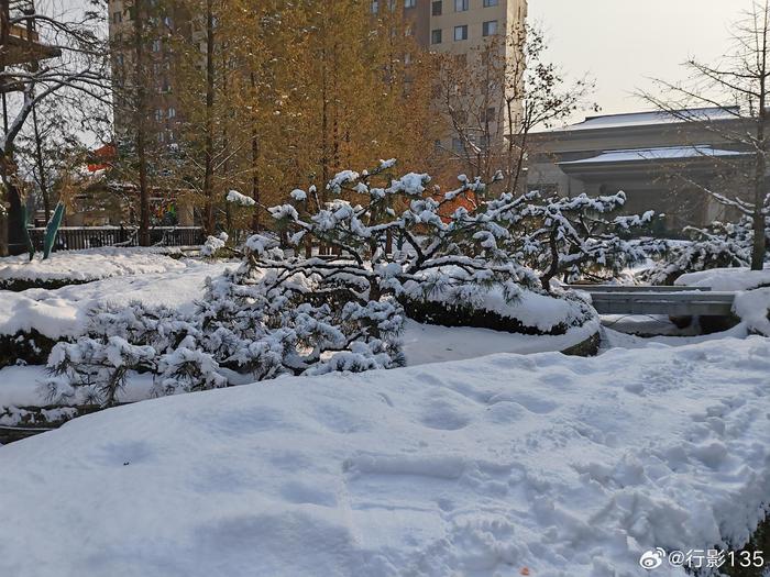 瑞雪兆豐年在一場下了一整天的大雪中迎來了2024年