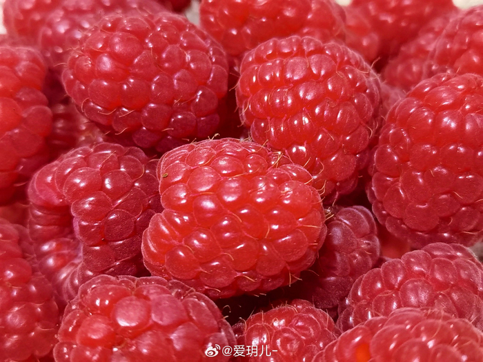 看花美闻果香花果参禅一切欢喜