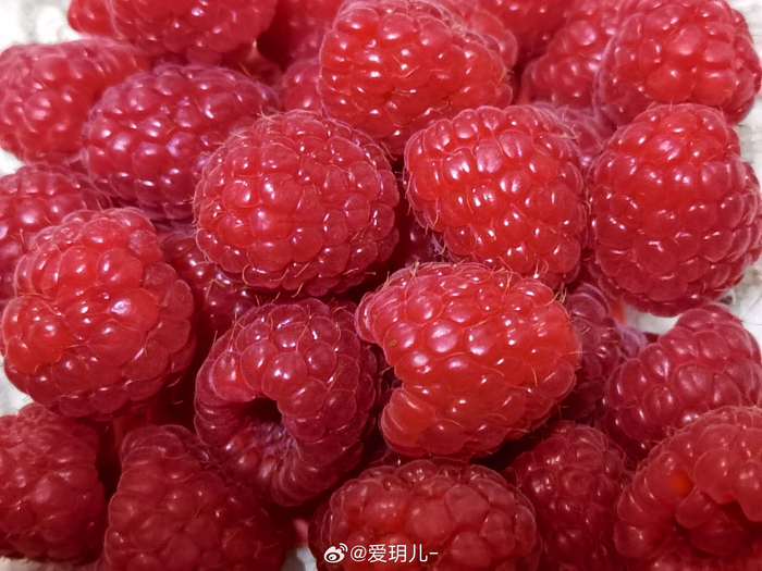 看花美闻果香花果参禅一切欢喜