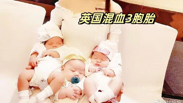 五年前，那位买英国教授“精子”生下3胞胎的美女，现在咋样了？