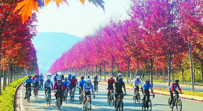 甘果摄益阳日报全媒体讯(记者 甘果 洪琼婷 通讯员 吴运昌)10月24日