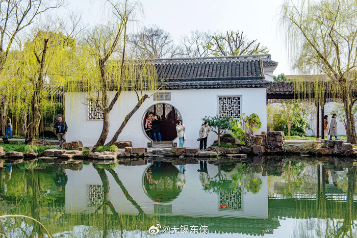 春天一到,柳树发芽了长长的柳条就像在春天的五线谱上挂满了音符……__财经头条