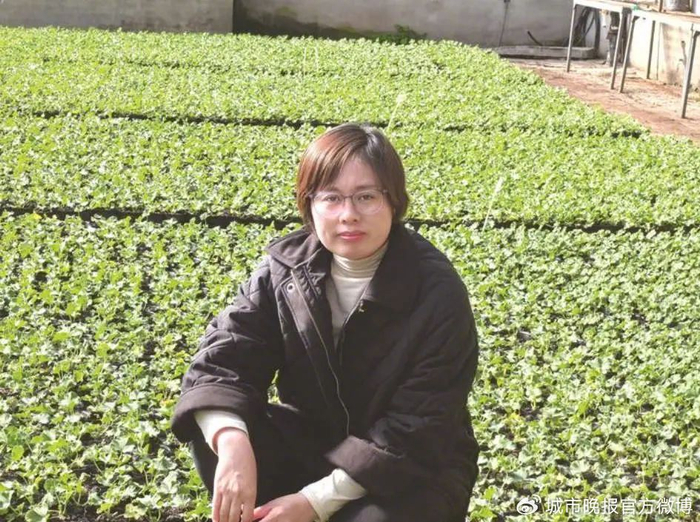 长春市绿化管理中心园林工作者张洪岩在城市园林绿化工作岗位上一干就